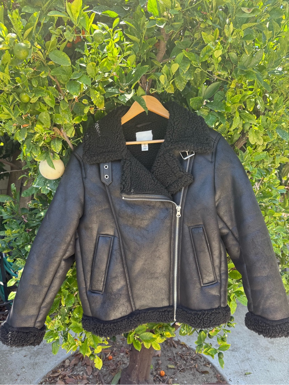H&M Black Faux Shearling Jacket